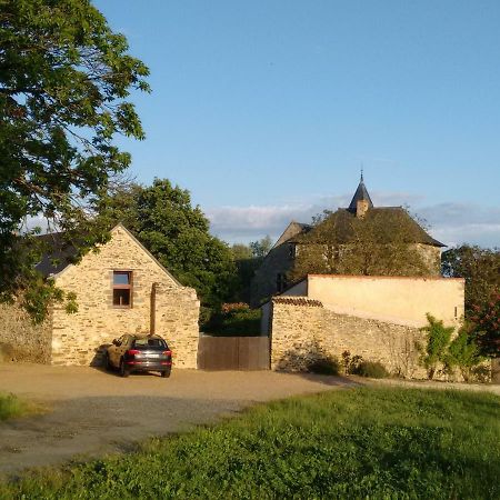Chateau De Chanze Faye-d'Anjou Buitenkant foto