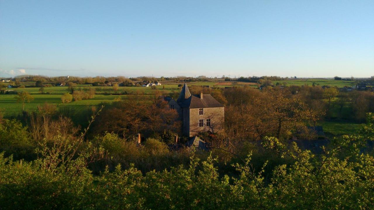 Chateau De Chanze Faye-d'Anjou Buitenkant foto