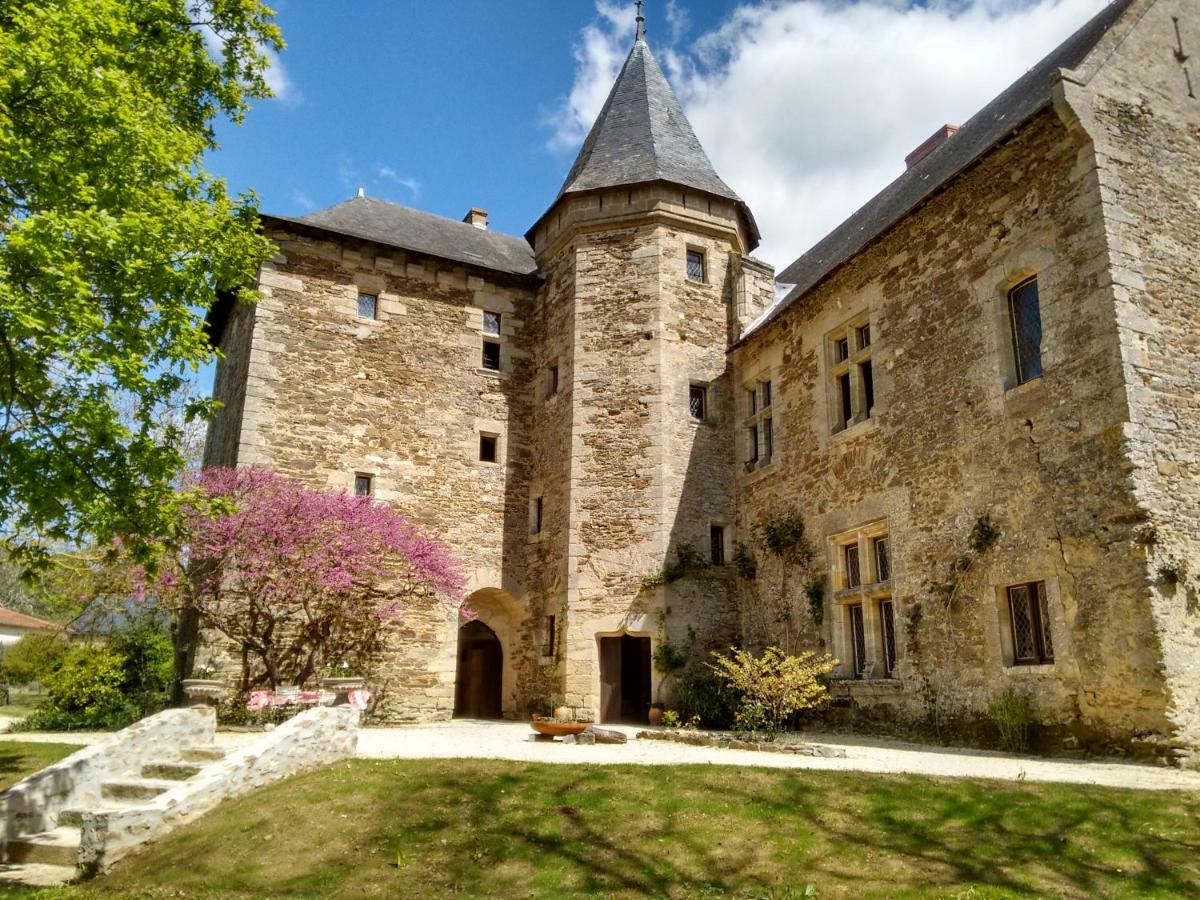 Chateau De Chanze Faye-d'Anjou Buitenkant foto