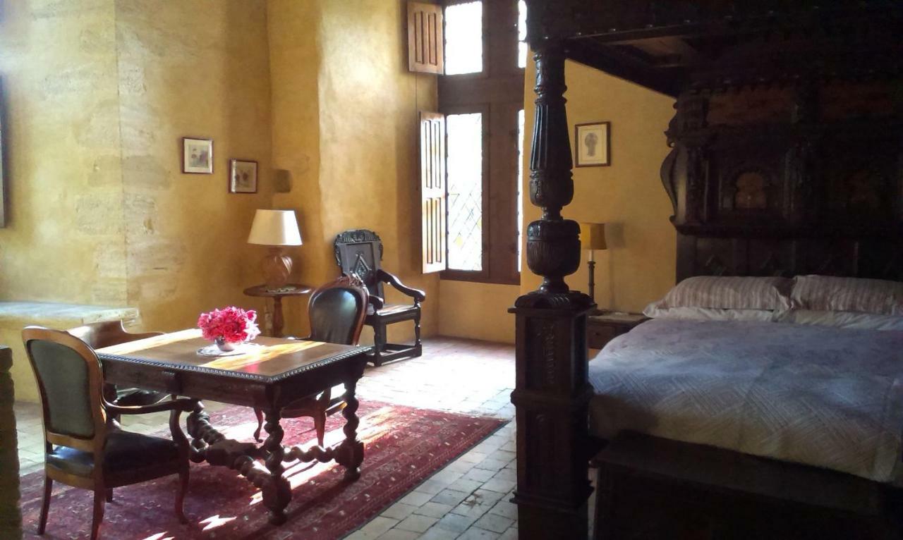 Chateau De Chanze Faye-d'Anjou Buitenkant foto