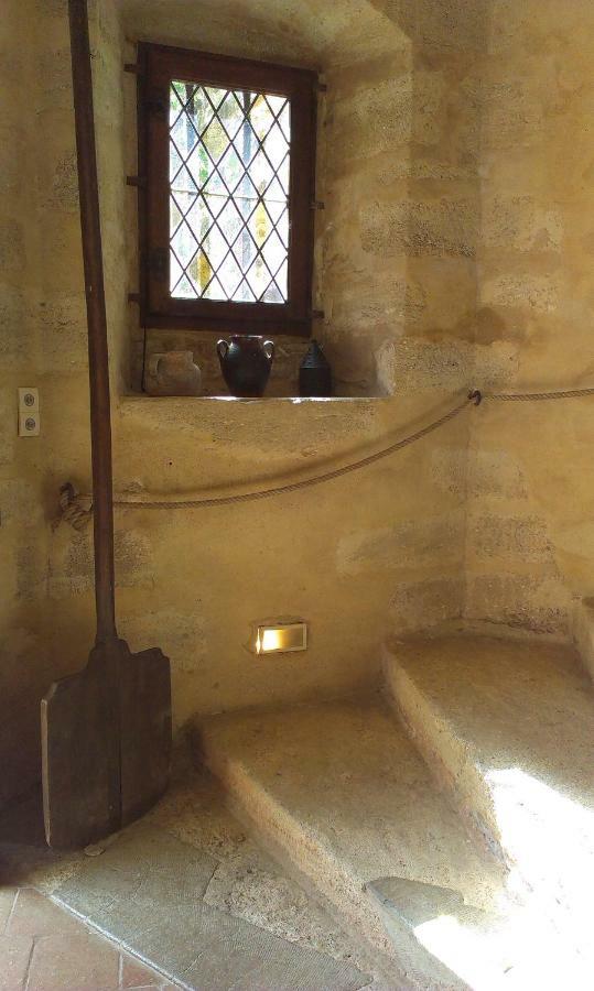 Chateau De Chanze Faye-d'Anjou Buitenkant foto
