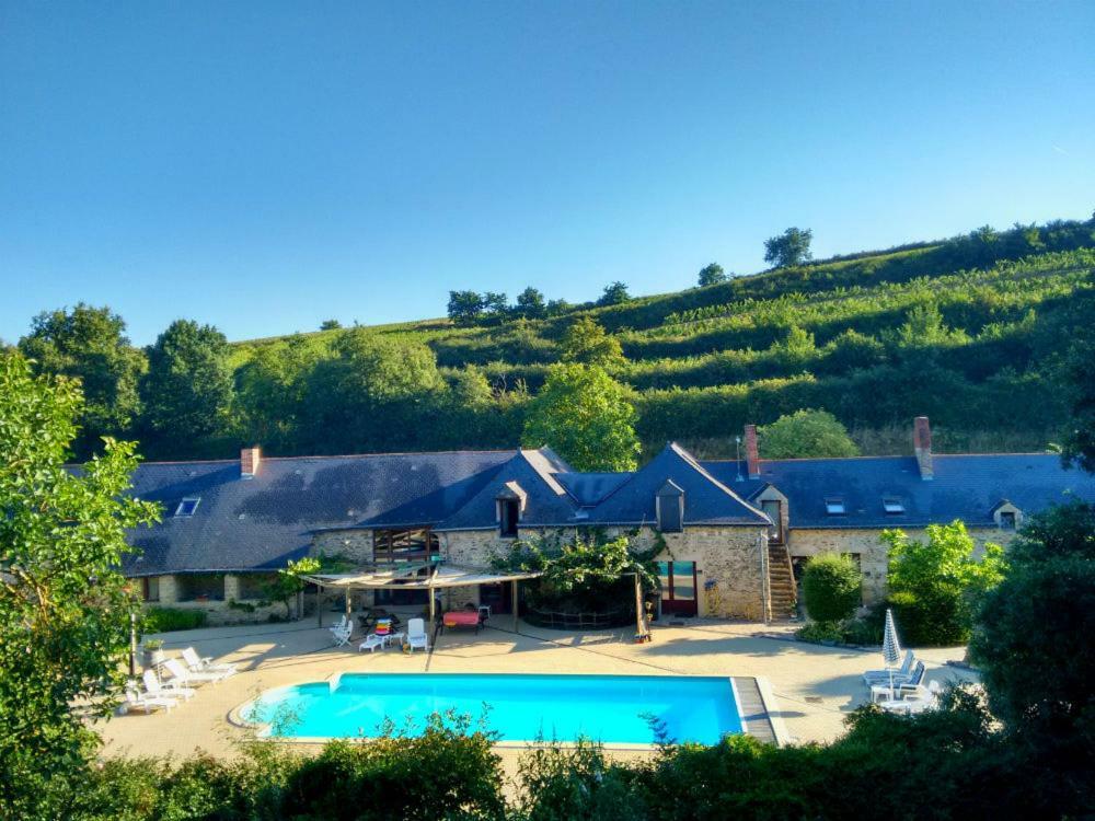 Chateau De Chanze Faye-d'Anjou Buitenkant foto